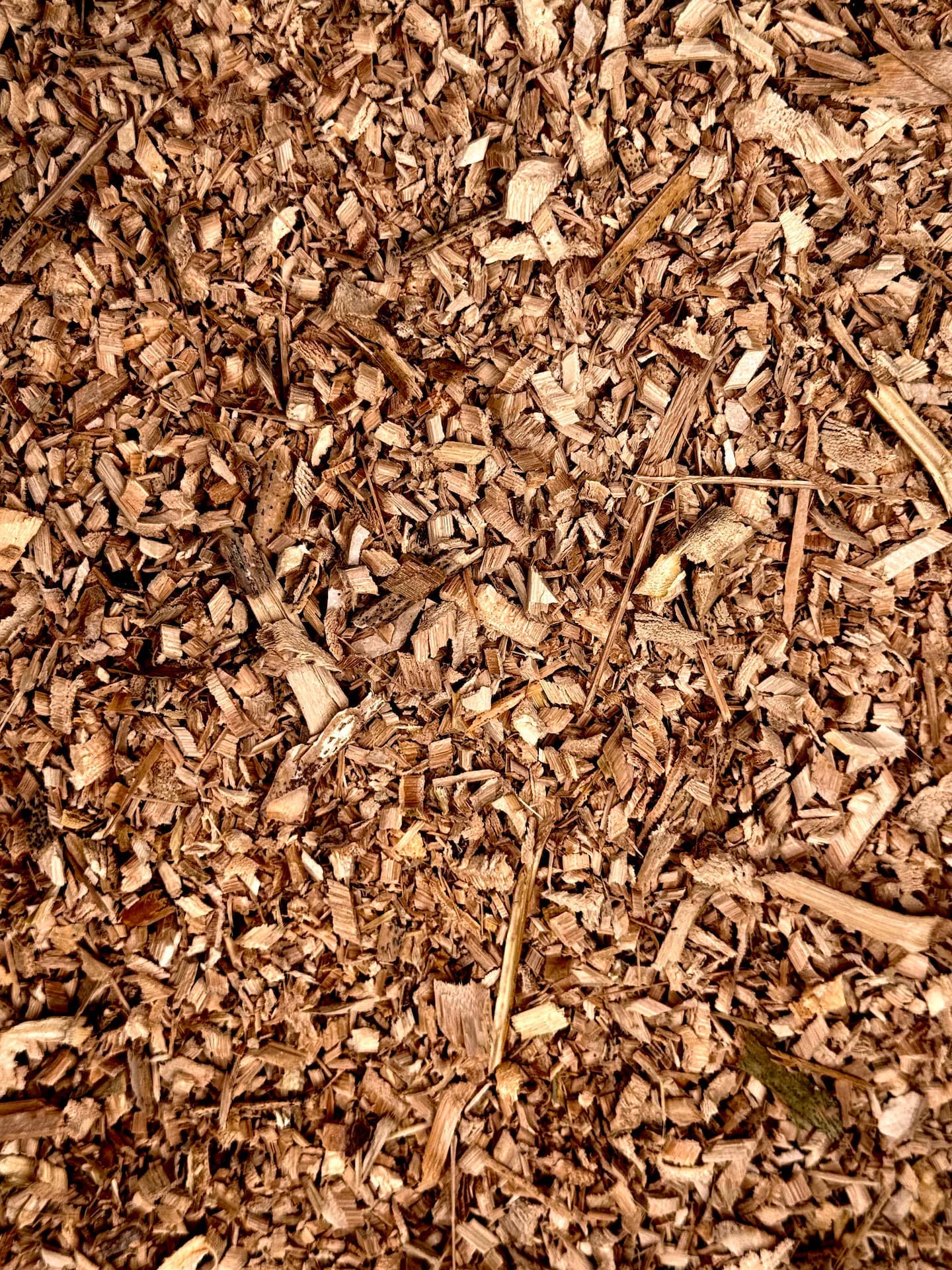Close-up of our bamboo mulch showing texture and consistency